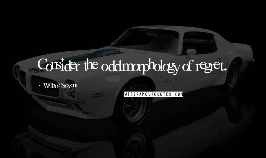 Wallace Stevens Quotes: Consider the odd morphology of regret.