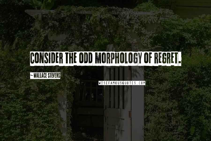 Wallace Stevens Quotes: Consider the odd morphology of regret.