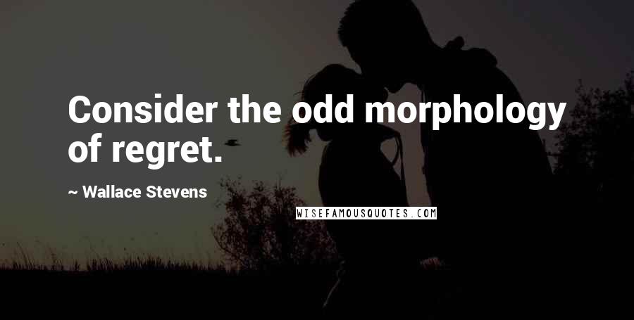 Wallace Stevens Quotes: Consider the odd morphology of regret.
