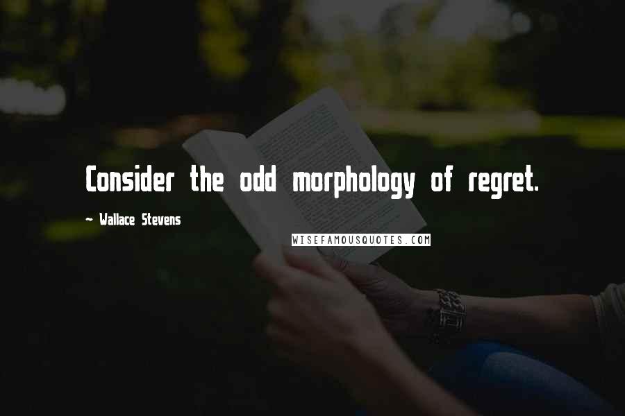 Wallace Stevens Quotes: Consider the odd morphology of regret.