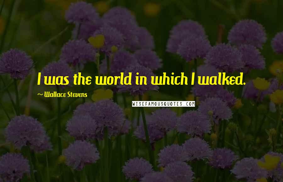 Wallace Stevens Quotes: I was the world in which I walked.