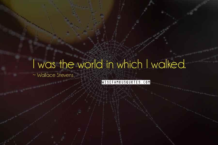 Wallace Stevens Quotes: I was the world in which I walked.