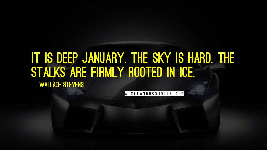 Wallace Stevens Quotes: It is deep January. The sky is hard. The stalks are firmly rooted in ice.