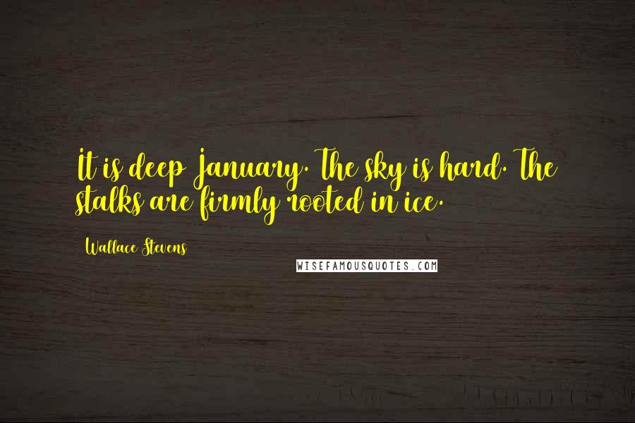 Wallace Stevens Quotes: It is deep January. The sky is hard. The stalks are firmly rooted in ice.