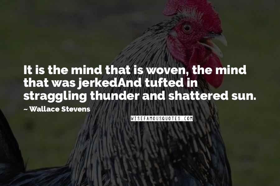 Wallace Stevens Quotes: It is the mind that is woven, the mind that was jerkedAnd tufted in straggling thunder and shattered sun.