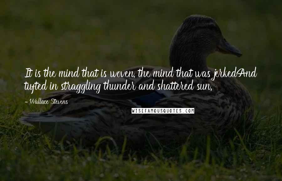 Wallace Stevens Quotes: It is the mind that is woven, the mind that was jerkedAnd tufted in straggling thunder and shattered sun.