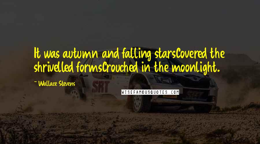 Wallace Stevens Quotes: It was autumn and falling starsCovered the shrivelled formsCrouched in the moonlight.