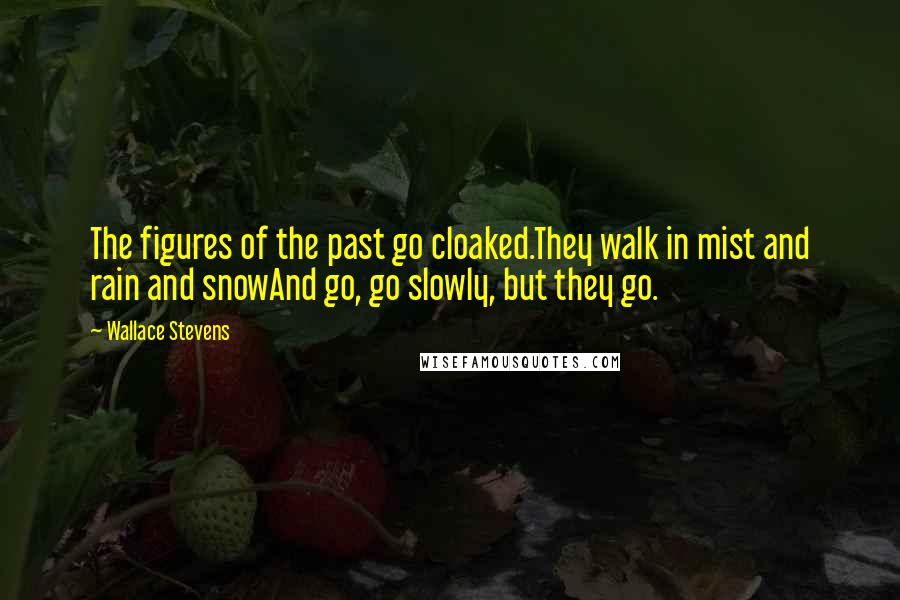 Wallace Stevens Quotes: The figures of the past go cloaked.They walk in mist and rain and snowAnd go, go slowly, but they go.