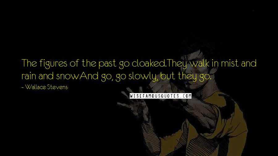 Wallace Stevens Quotes: The figures of the past go cloaked.They walk in mist and rain and snowAnd go, go slowly, but they go.