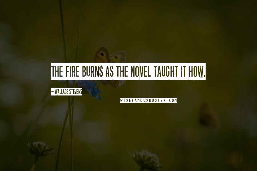 Wallace Stevens Quotes: The fire burns as the novel taught it how.