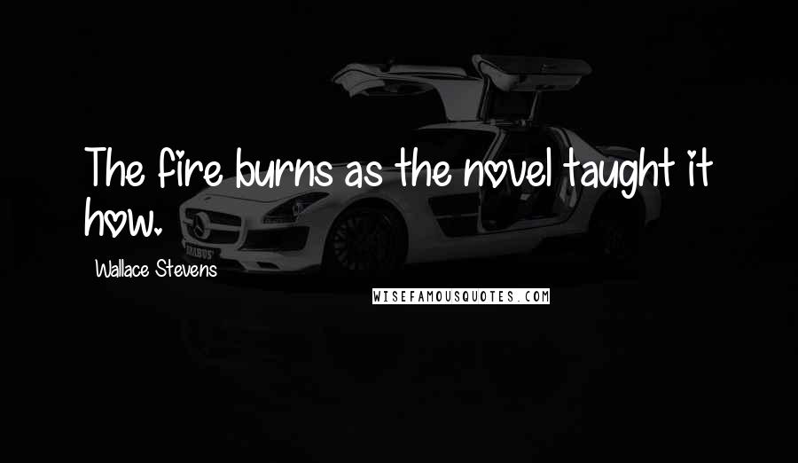 Wallace Stevens Quotes: The fire burns as the novel taught it how.