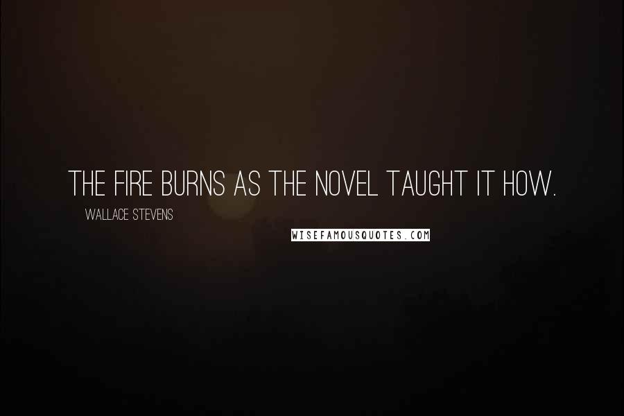 Wallace Stevens Quotes: The fire burns as the novel taught it how.