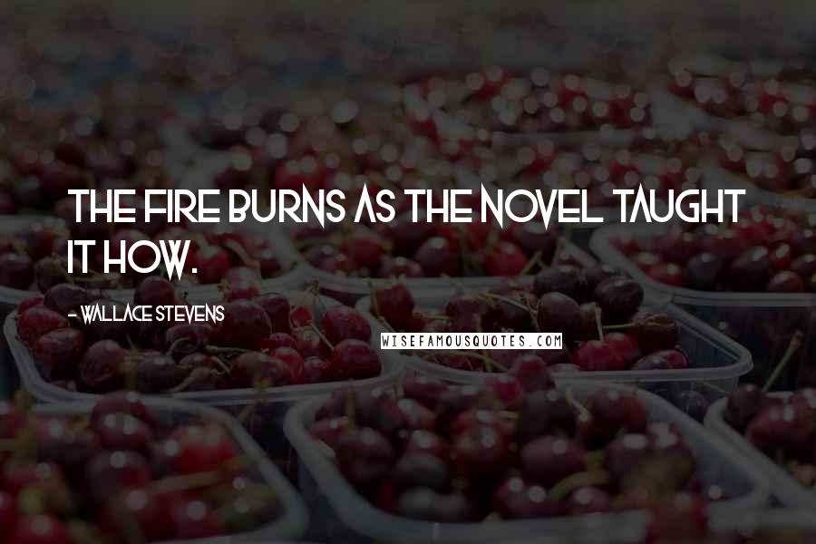 Wallace Stevens Quotes: The fire burns as the novel taught it how.