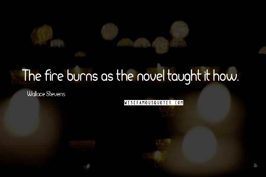 Wallace Stevens Quotes: The fire burns as the novel taught it how.