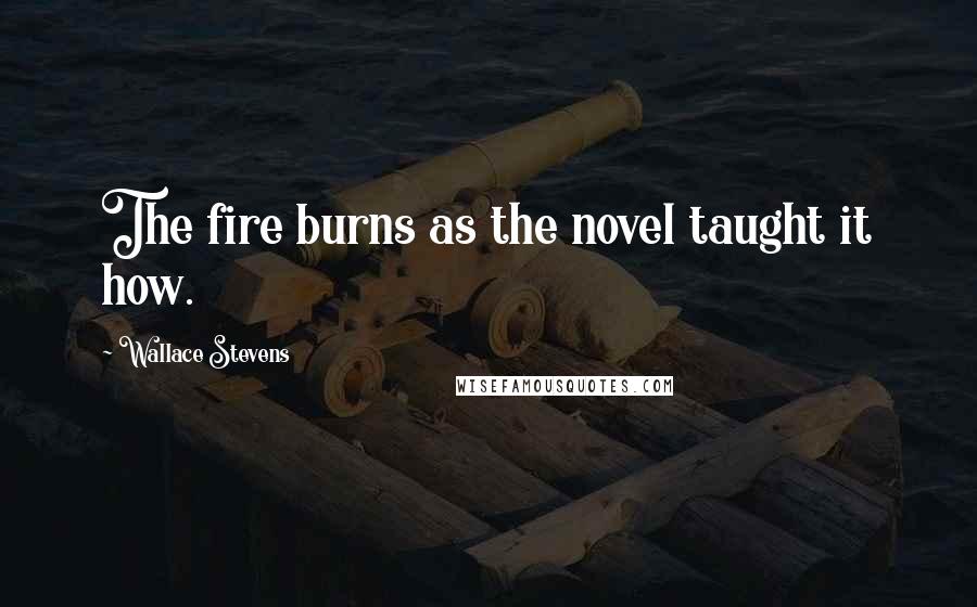 Wallace Stevens Quotes: The fire burns as the novel taught it how.