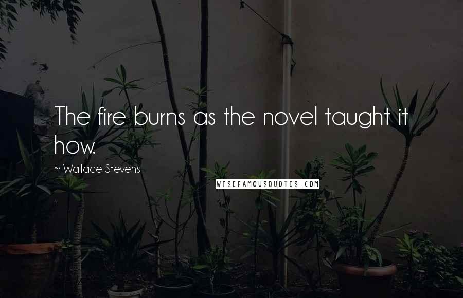 Wallace Stevens Quotes: The fire burns as the novel taught it how.