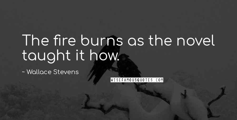 Wallace Stevens Quotes: The fire burns as the novel taught it how.