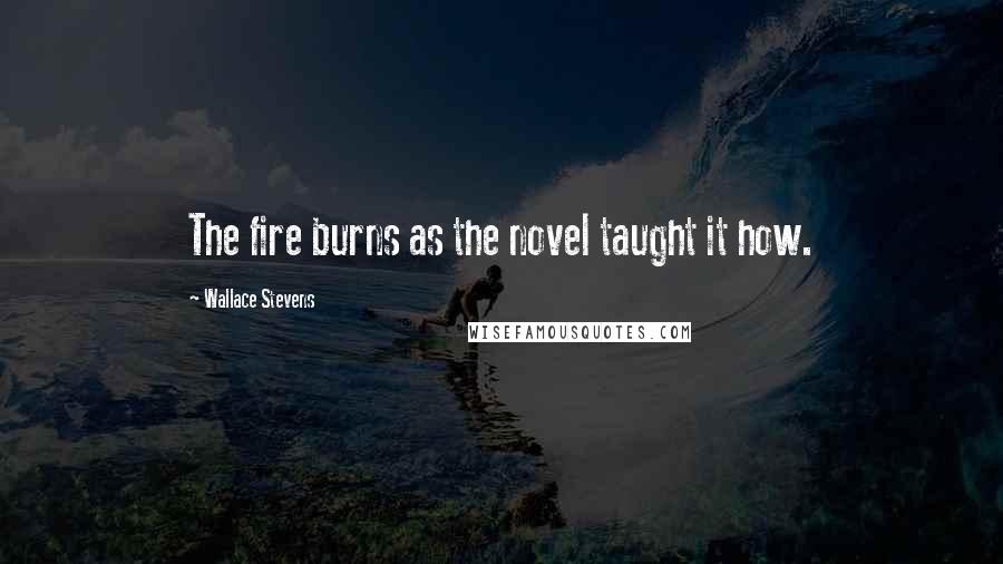 Wallace Stevens Quotes: The fire burns as the novel taught it how.