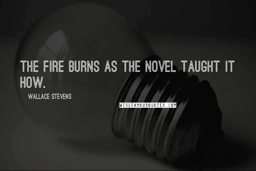 Wallace Stevens Quotes: The fire burns as the novel taught it how.