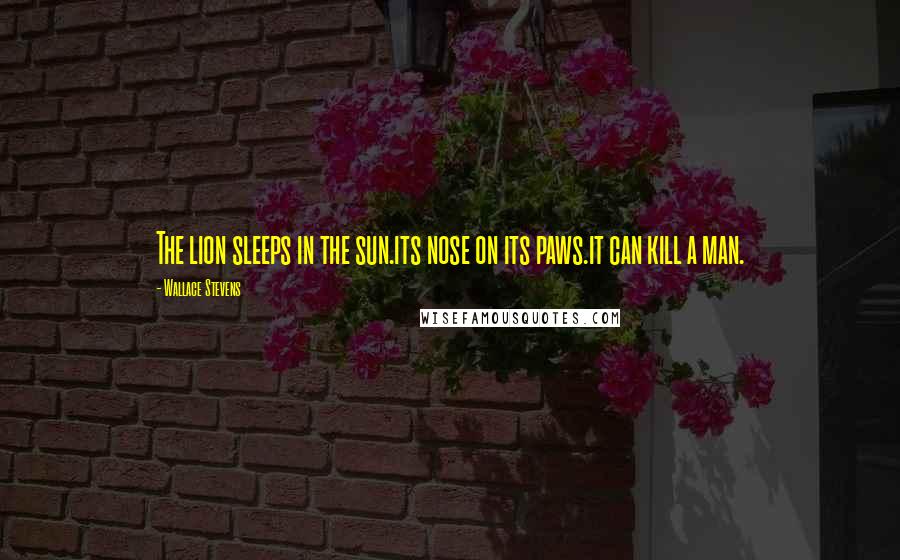 Wallace Stevens Quotes: The lion sleeps in the sun.its nose on its paws.it can kill a man.