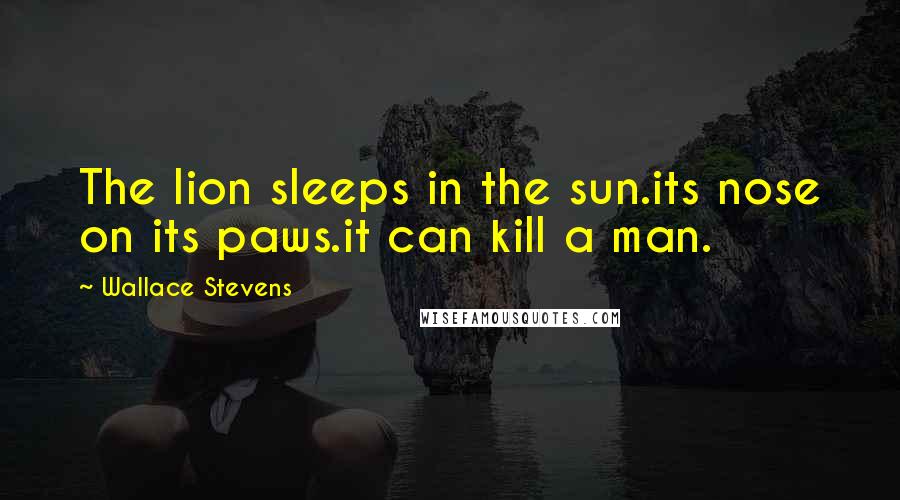 Wallace Stevens Quotes: The lion sleeps in the sun.its nose on its paws.it can kill a man.