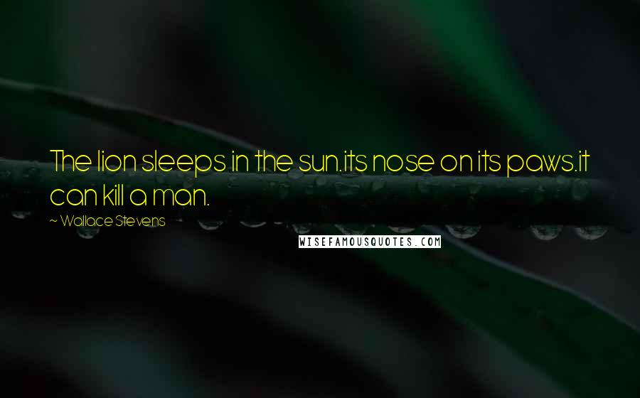 Wallace Stevens Quotes: The lion sleeps in the sun.its nose on its paws.it can kill a man.