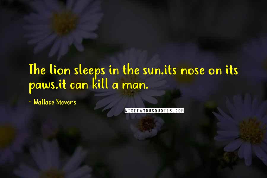 Wallace Stevens Quotes: The lion sleeps in the sun.its nose on its paws.it can kill a man.