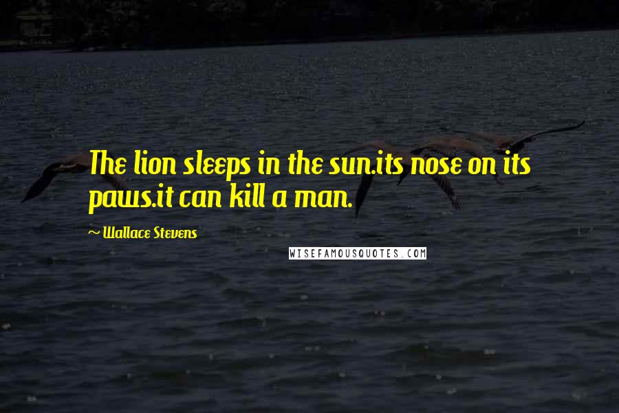 Wallace Stevens Quotes: The lion sleeps in the sun.its nose on its paws.it can kill a man.