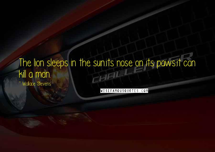 Wallace Stevens Quotes: The lion sleeps in the sun.its nose on its paws.it can kill a man.