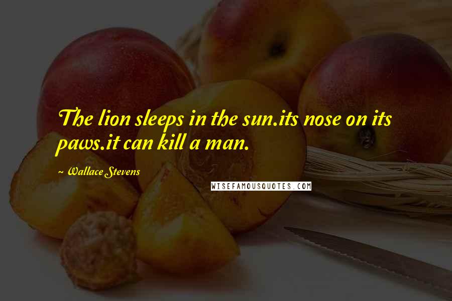 Wallace Stevens Quotes: The lion sleeps in the sun.its nose on its paws.it can kill a man.