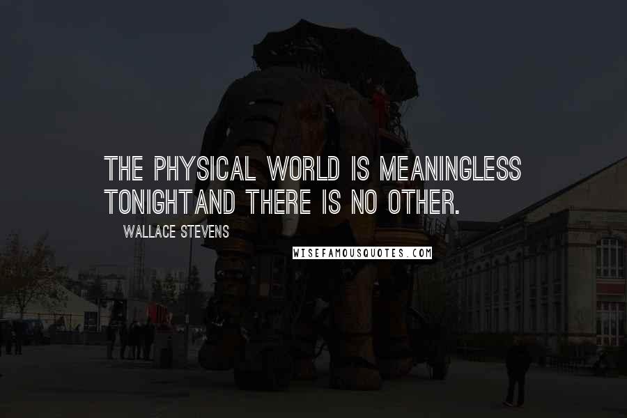 Wallace Stevens Quotes: The physical world is meaningless tonightAnd there is no other.