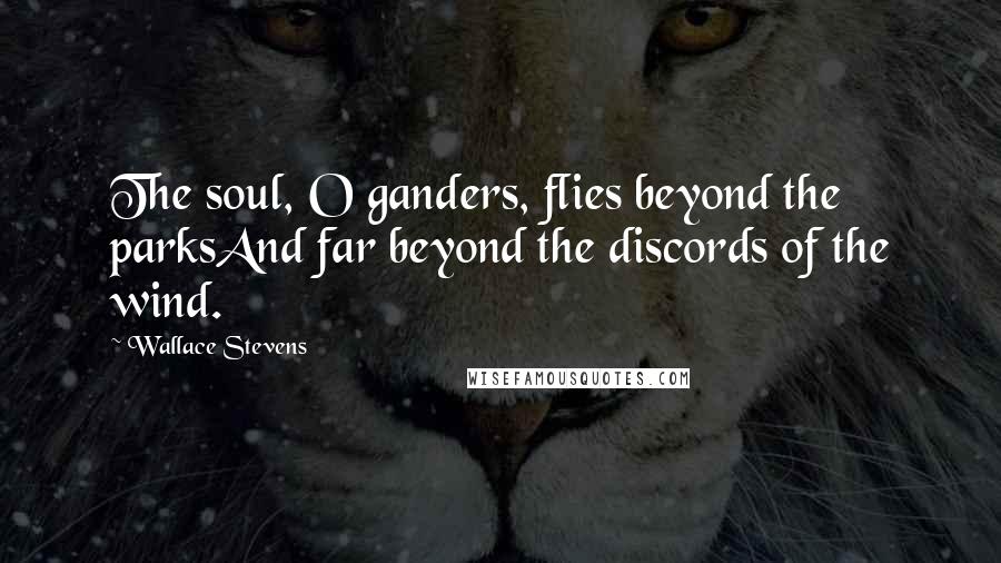 Wallace Stevens Quotes: The soul, O ganders, flies beyond the parksAnd far beyond the discords of the wind.