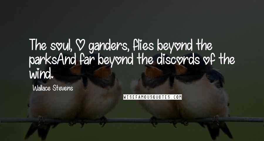 Wallace Stevens Quotes: The soul, O ganders, flies beyond the parksAnd far beyond the discords of the wind.