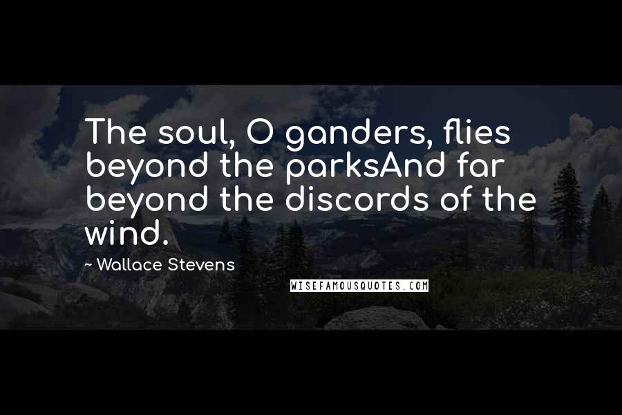 Wallace Stevens Quotes: The soul, O ganders, flies beyond the parksAnd far beyond the discords of the wind.