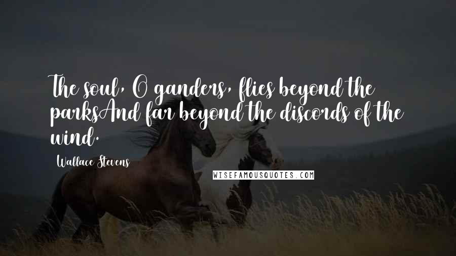 Wallace Stevens Quotes: The soul, O ganders, flies beyond the parksAnd far beyond the discords of the wind.