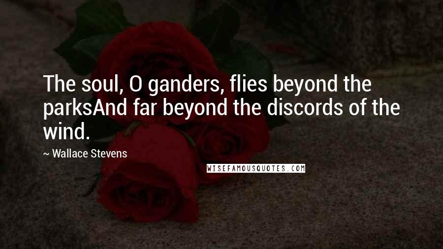 Wallace Stevens Quotes: The soul, O ganders, flies beyond the parksAnd far beyond the discords of the wind.