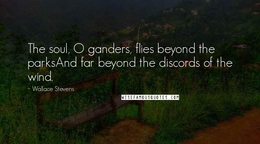 Wallace Stevens Quotes: The soul, O ganders, flies beyond the parksAnd far beyond the discords of the wind.