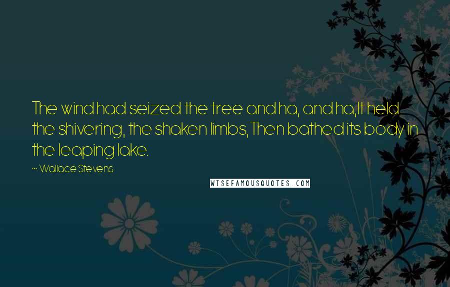 Wallace Stevens Quotes: The wind had seized the tree and ha, and ha,It held the shivering, the shaken limbs,Then bathed its body in the leaping lake.