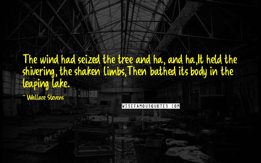 Wallace Stevens Quotes: The wind had seized the tree and ha, and ha,It held the shivering, the shaken limbs,Then bathed its body in the leaping lake.