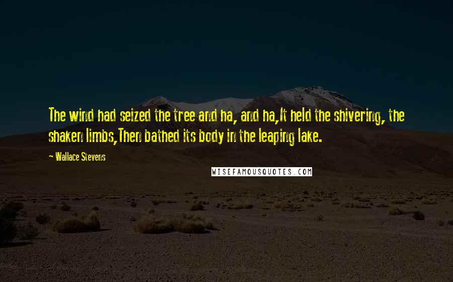Wallace Stevens Quotes: The wind had seized the tree and ha, and ha,It held the shivering, the shaken limbs,Then bathed its body in the leaping lake.