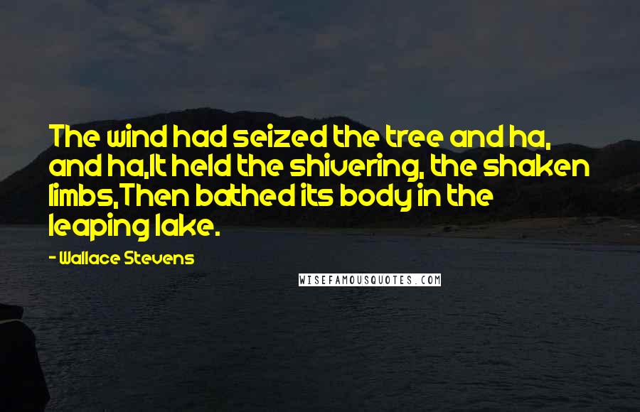 Wallace Stevens Quotes: The wind had seized the tree and ha, and ha,It held the shivering, the shaken limbs,Then bathed its body in the leaping lake.