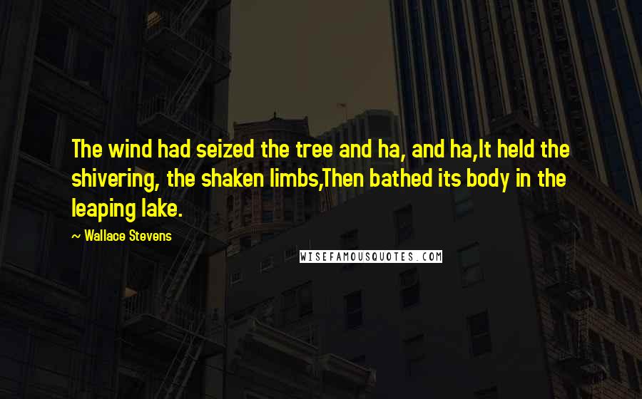 Wallace Stevens Quotes: The wind had seized the tree and ha, and ha,It held the shivering, the shaken limbs,Then bathed its body in the leaping lake.