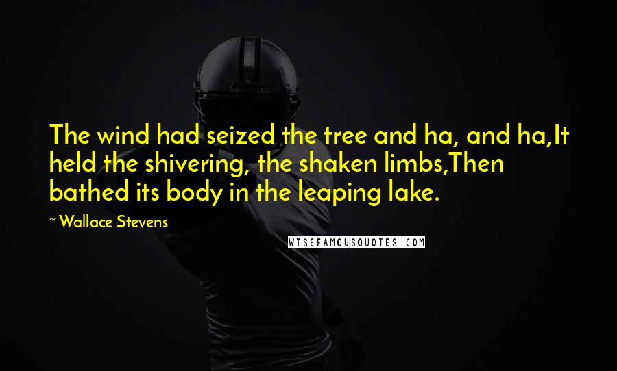 Wallace Stevens Quotes: The wind had seized the tree and ha, and ha,It held the shivering, the shaken limbs,Then bathed its body in the leaping lake.