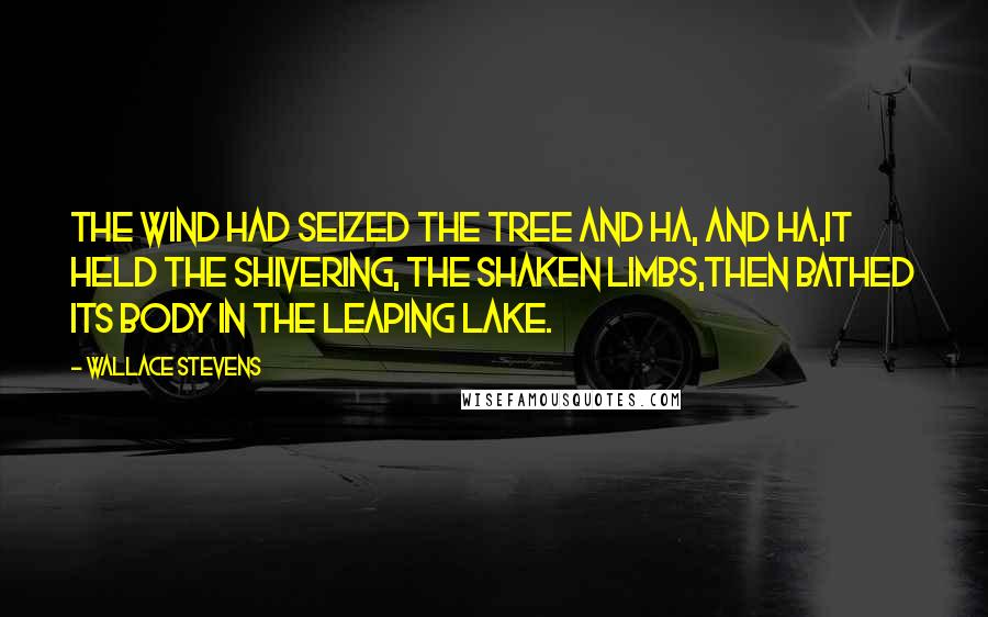 Wallace Stevens Quotes: The wind had seized the tree and ha, and ha,It held the shivering, the shaken limbs,Then bathed its body in the leaping lake.