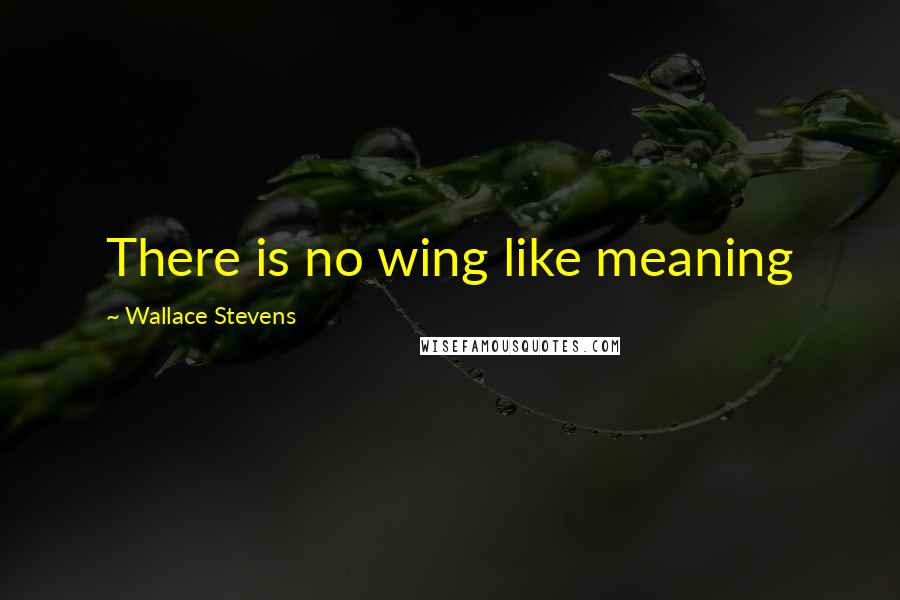 Wallace Stevens Quotes: There is no wing like meaning