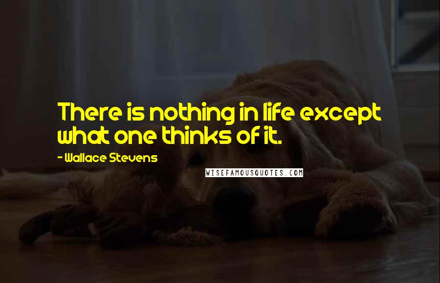 Wallace Stevens Quotes: There is nothing in life except what one thinks of it.