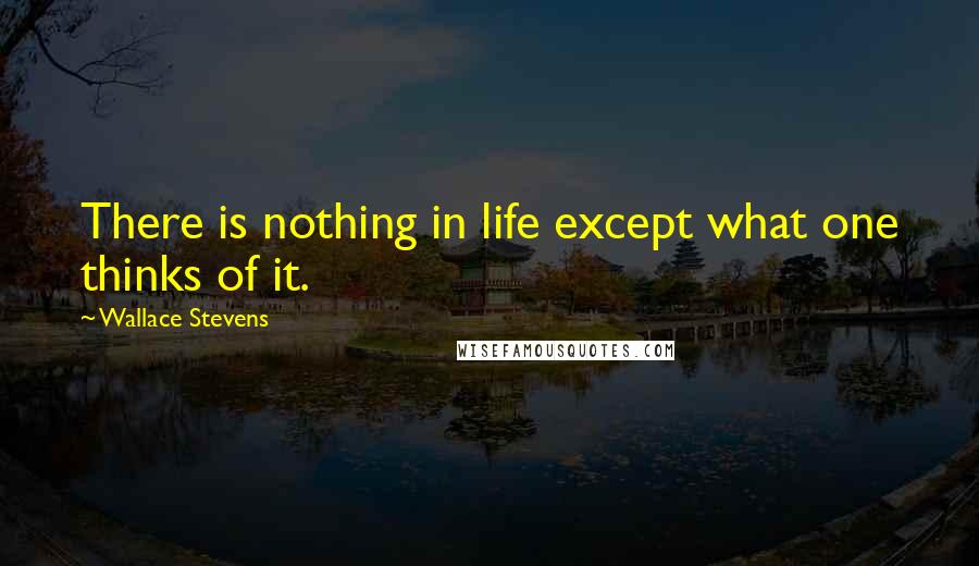 Wallace Stevens Quotes: There is nothing in life except what one thinks of it.