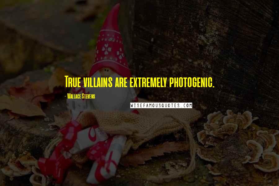 Wallace Stevens Quotes: True villains are extremely photogenic.