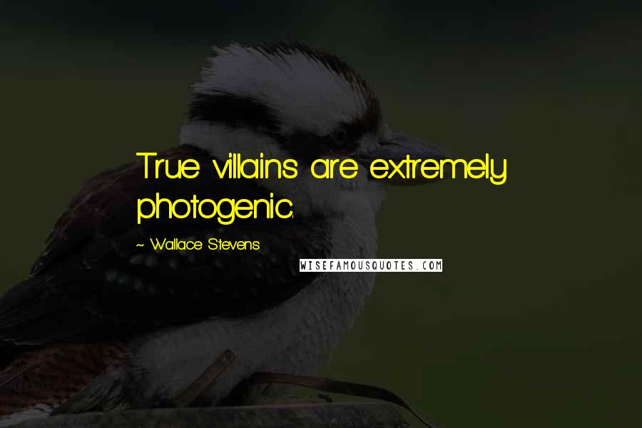 Wallace Stevens Quotes: True villains are extremely photogenic.