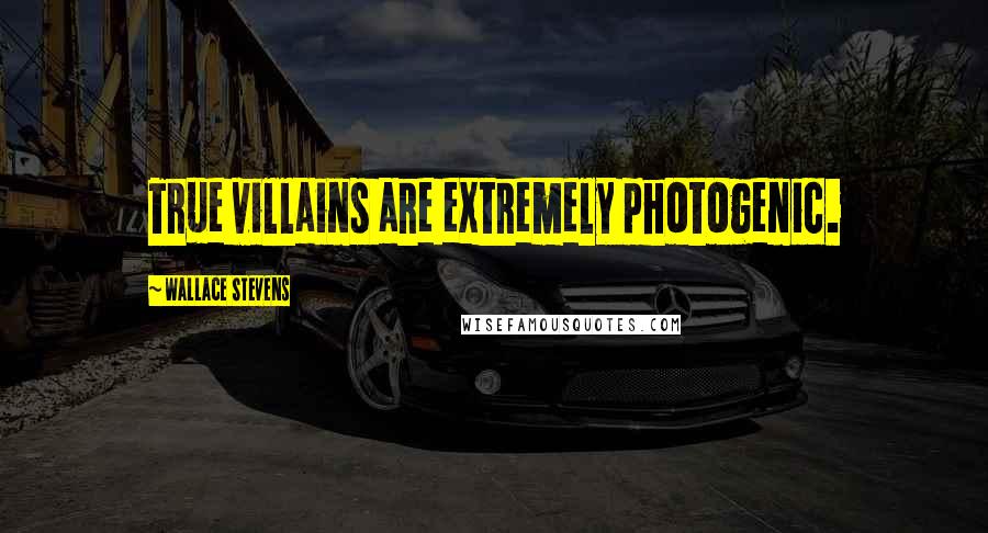 Wallace Stevens Quotes: True villains are extremely photogenic.